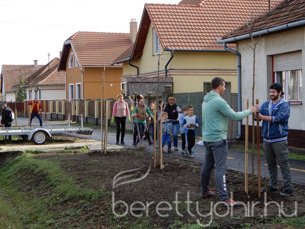Közösségi faültetés Berettyóújfaluban 81